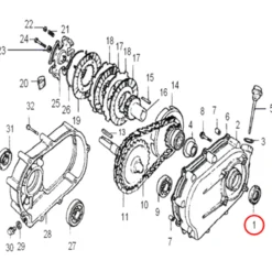 Wiltec Wellendichtring 30 x 46 x 8 für LIFAN 9-13 PS Motor – Benzinmotor Ersatzteil für Ölbadkupplung – Einzylinder für Kleinmaschinen & Karts, 4-Takt Motor & OHV Ventilsteuerung