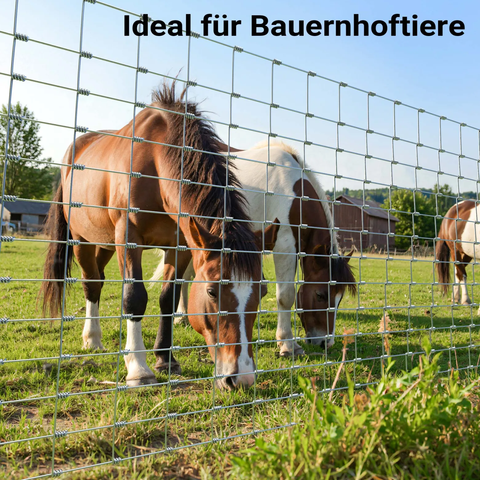 Wiltec Wildzaun 125/13/15 50 m lang, 125 cm hoch, 13 Drahtreihen, 15 cm Maschenbreite, Weidezaun aus Knotengeflecht, Drahtzaun z. B. für Forst- und Landwirtschaft