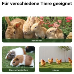Wiltec XXL Hasenstall 1560 x 520 x 680 mm mit Freilaufgehege und erhöhtem Unterschlupf aus Fichtenholz, Kaninchenkäfig mit 2 Etagen, Kleintierstall